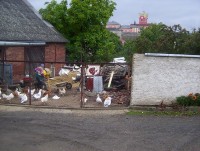 Mírov-hrad-Foto:Ulrych Mir.