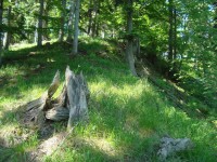 Kružberk-hrad-horní část-Foto:Ulrych Mir.