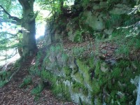 Kružberk-hrad-východní strana hradu, opracovaná skála-Foto:Ulrych Mir.