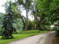 Kunvald-pomník sv.Jana Nepomuckého a památné lípy-Foto:Ulrych Mir.