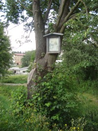 Klášterec nad Orlicí-Zbudov-pieta na stromě u silnice ze Žamberka-Foto:Ulrych Mir.