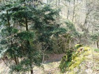 Hrad Puchart-příkop oddělující Dolní hrad od skalní šíje s Horním hradem-Foto:Ulrych Mir.