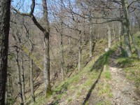 Hrad Puchart-pěšinka mezi oběma hrady-Foto:Ulrych Mir.