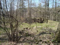 Hrad Puchart-Horní hrad-zbytky hradeb a hradního paláce-Foto:Ulrych Mir.