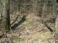 Hrad Puchart-Horní hrad-zbytky hradeb a hradního paláce-Foto:Ulrych Mir.