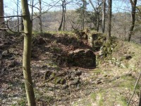 Hrad Puchart-Horní hrad-zbytky hradeb a hradního paláce-Foto:Ulrych Mir.