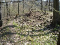 Hrad Puchart-Horní hrad-zbytky hradeb a hradního paláce-Foto:Ulrych Mir.