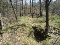 Hrad Puchart-Horní hrad-zbytky hradeb a hradního paláce-Foto:Ulrych Mir.