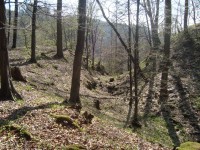 Hrad Puchart-Horní hrad-velký příkop a hradní vršek z valu-Foto:Ulrych Mir.