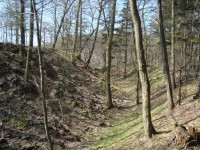 Hrad Puchart-Horní hrad-velký příkop a hradní vršek z valu-Foto:Ulrych Mir.