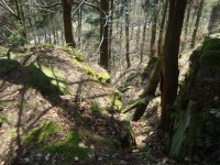 Hrad Puchart-Dolní hrad-pohled na lesní silnici a Koutecký potok-Foto:Ulrych Mir.