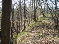 Hrad Puchart-Horní hrad-zbytky hradeb na západní straně-Foto:Ulrych Mir.