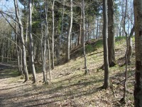 Hrad Puchart-Horní hrad-malý příkop a val-Foto:Ulrych Mir.