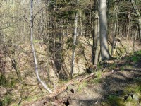 Hrad Puchart-Horní hrad-pohled z hradu na příkop-Foto:Ulrych Mir.