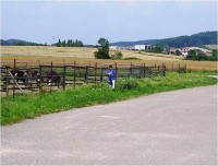 Lázně Bělohrad-pštrosí farma-Foto:Ulrych Mir.