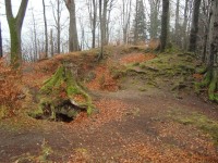 Rožnov pod Radhoštěm-hrad Rožnov-Foto:Ulrych Mir. 