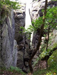 Přihrázské skály-skalní rozsedliny-Foto:Ulrych Mir.