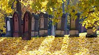 Mohuč: 'Judensand', nejstarší židovský hřbitov v Evropě. Foto: Landeshauptstadt Mainz