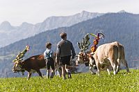 Berchtesgadensko: Slavnost shánění krav u jezera Königsee © www.bayern.by/Peter von Felbert