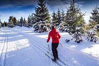 Oberhof: Lyžařka na běžkách v Durynském lese © gettyimages/Sebastian Rothe / EyeEm