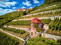 Freyburg (Unstrut): Vinohrady © DZT/Jens Wegener