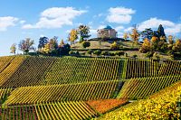 Stuttgart: Vinohrady a kaple Rotenberg © Adobe Stock/sculpies
