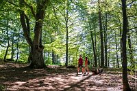 Badensko-Würtembersko © Schwäbische Alb Tourismus/Gregor Lengler