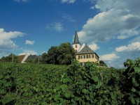 Rheingau – světoznámá vinařská oblast 