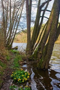 Odlezelské jezero