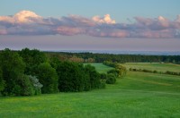 Vysoké Chvojno - louky jižně od Vysokého Chvojna pod ulicí K Zámečku, napravo louka tzv. Horačka, v dáli Železné hory