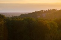 Výhled od okraje nové paseky u Poběžovic u Holic na obec Vysoké Chvojno na okraji Vysokochvojenské plošiny (Orlická tabule), v pozadí rovinatá Pardubická kotlina