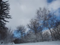 Havlův Kopec v zimě 2009