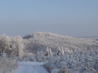 Pohled na Chřiby