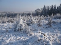 Ještě jedna "Mrazíkovská" krajina