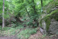 Břenčák - přírodní rezervace