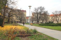 Brno - park na Obilním trhu