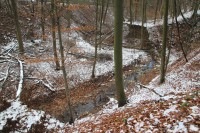 Údolí Kohoutovického potoka