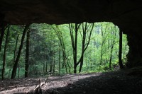 Pohled z jeskyně do údolí Haldy