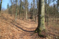 Výstup po modré značce při okraji lesa