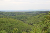 Pohled z vyhlídky do údolí Říčky