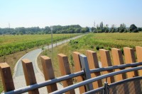 Pohled z rozhledny na trasu cyklostezky směřující k Mlýnskému rybníku