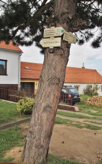 Turistické rozcestí Křenovice, horní nádtaží