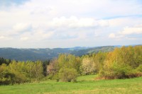 Louky Na Bukovcích, v pozadí hluboké údolí řeky Svratky