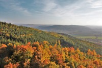 Pohled k Hradčanům, nad nimi hřeben Sokolí, na horizontu Podkomorské lesy