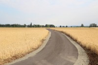 Nová asfaltka s polích mezi Vranovicemi a Přibicemi
