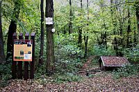 Turistické rozcestí Sternův kříž, za ním studánka Ve Velkém hájku