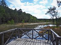 Vycházková trasa kolem národní přírodní památky Swamp