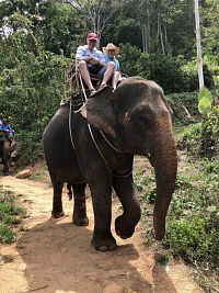 Výlet na slonech