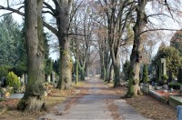 Brno - Ústřední hřbitov