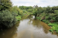 Neregulovaná řeka Jihlava protékající Bedřichovým lesem